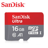 SD Memory Card